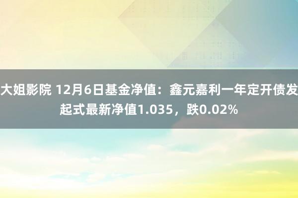 大姐影院 12月6日基金净值：鑫元嘉利一年定开债发起式最新净值1.035，跌0.02%