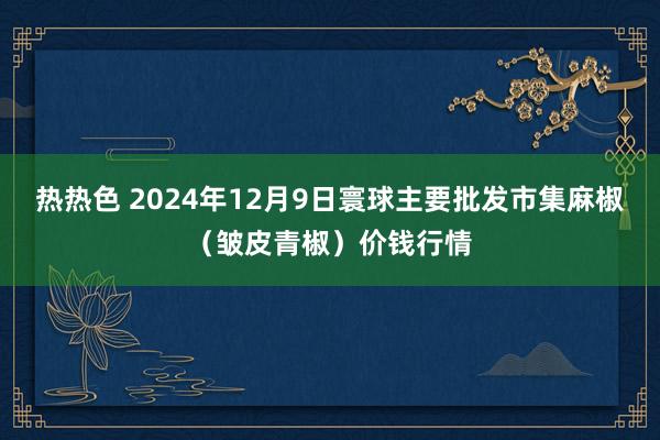 热热色 2024年12月9日寰球主要批发市集麻椒（皱皮青椒）价钱行情