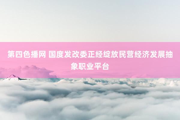 第四色播网 国度发改委正经绽放民营经济发展抽象职业平台