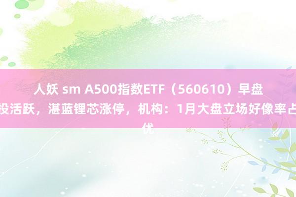 人妖 sm A500指数ETF（560610）早盘交投活跃，湛蓝锂芯涨停，机构：1月大盘立场好像率占优