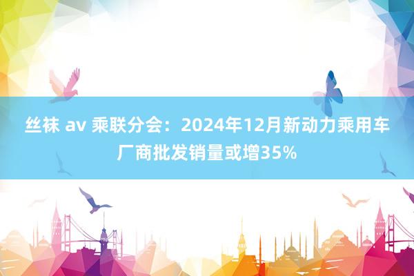 丝袜 av 乘联分会：2024年12月新动力乘用车厂商批发销量或增35%