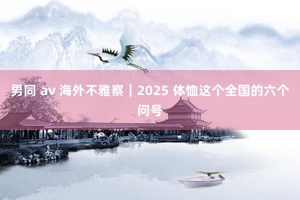 男同 av 海外不雅察｜2025 体恤这个全国的六个问号