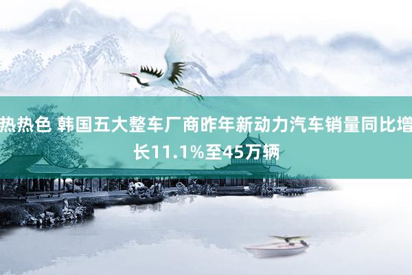 热热色 韩国五大整车厂商昨年新动力汽车销量同比增长11.1%至45万辆