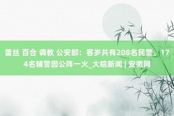 蕾丝 百合 调教 公安部：客岁共有208名民警、174名辅警因公阵一火_大皖新闻 | 安徽网