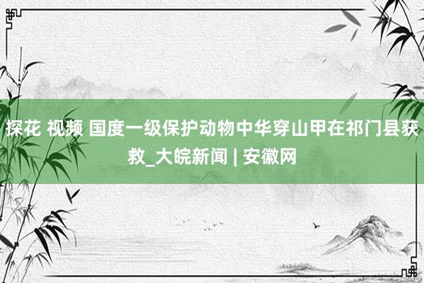 探花 视频 国度一级保护动物中华穿山甲在祁门县获救_大皖新闻 | 安徽网